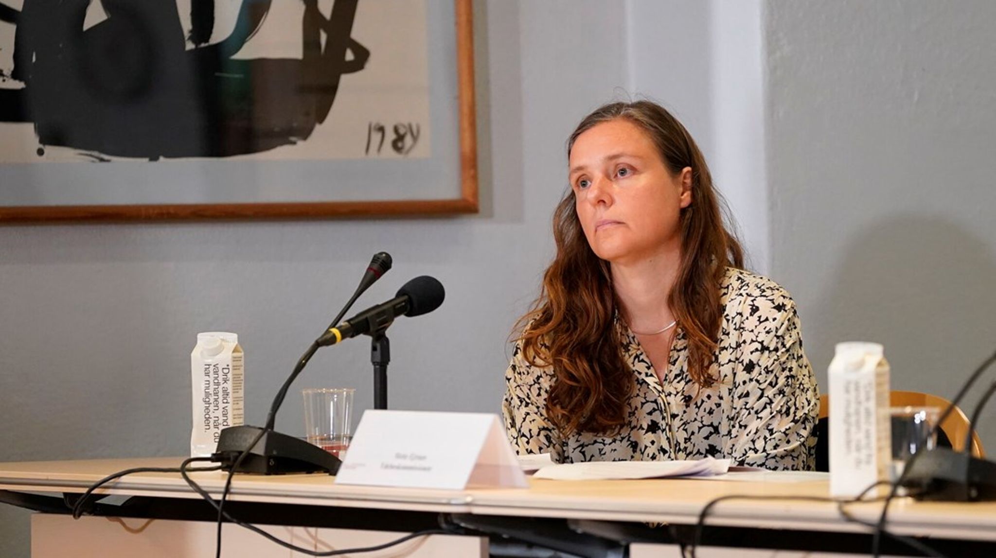 Mette Ejrnæs har siden 2010 været professor ved Økonomisk Institut på Københavns Universitet.