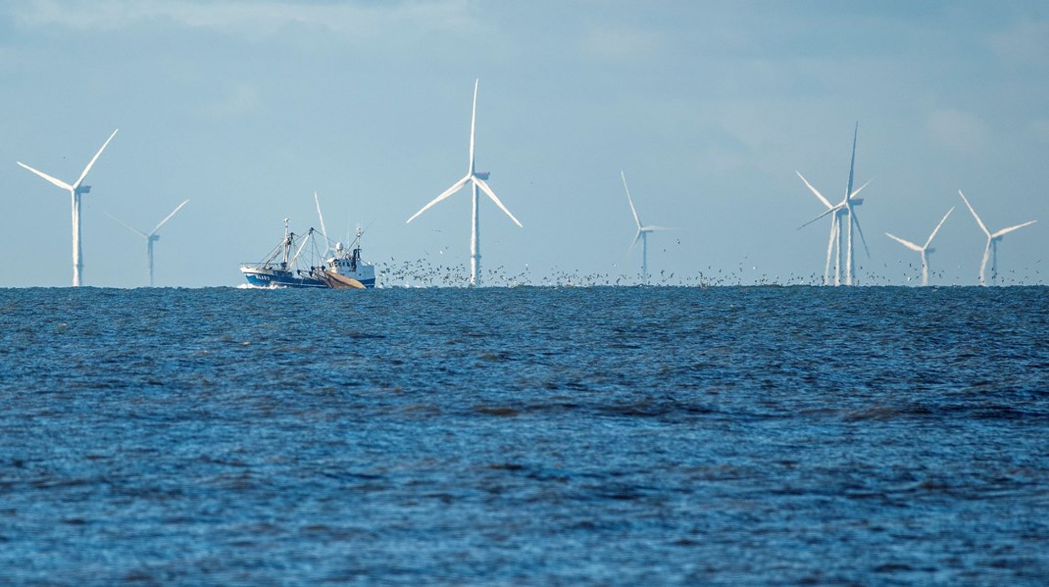Kan arealer, der ikke er beskyttet mod fysiske forstyrrelser på havbunden, tælle med, når Danmark skal leve op til EU's målsætning om 30 procent beskyttet natur? Det er Miljøministeriet og det uafhængige ekspertorgan Biodiversitetsrådet uenige om.