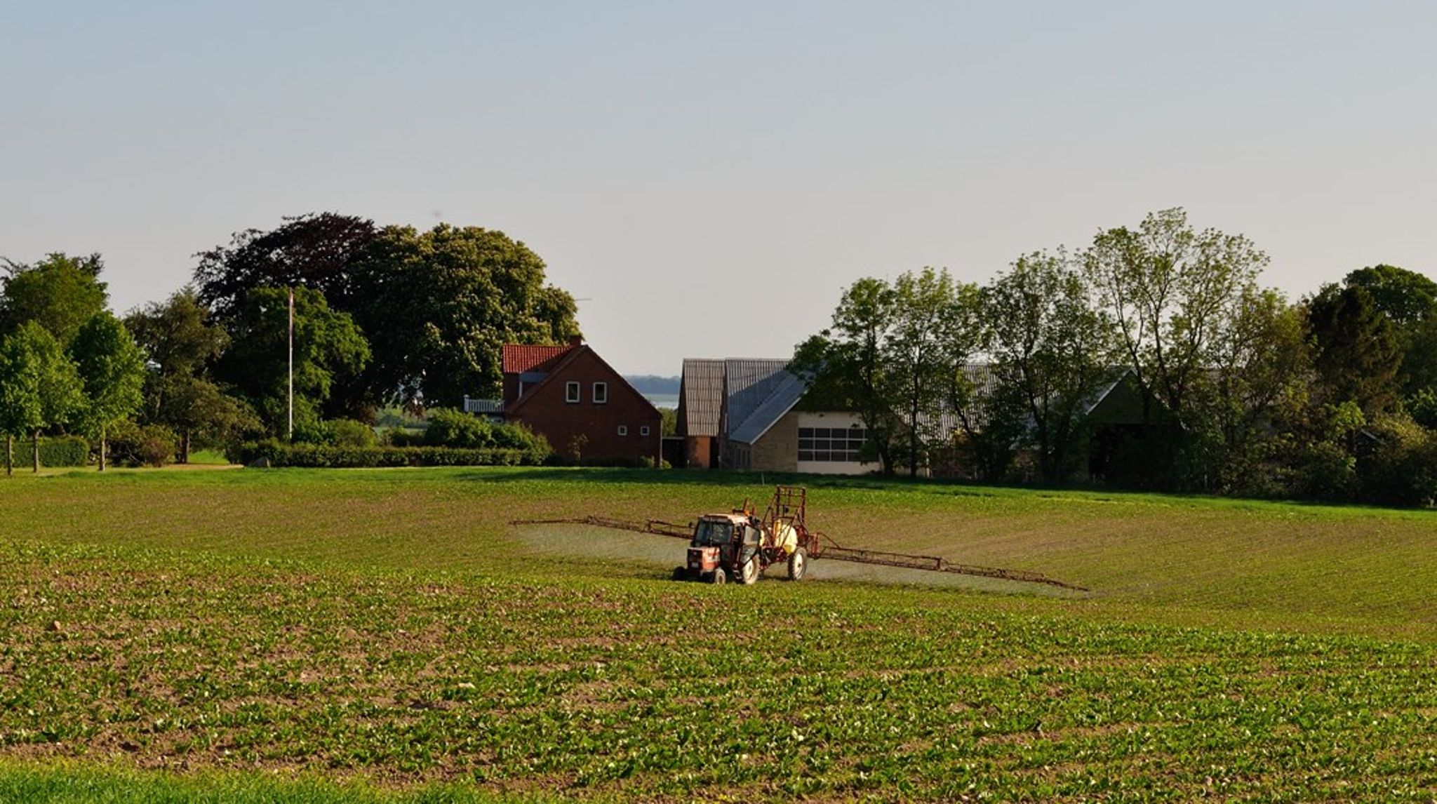 Landbruget håber at kunne fortsætte med Roundup.