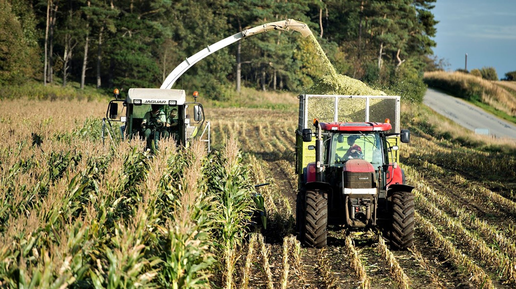 2.g biodiesel fremstillet af fedt fra animalske affaldsprodukter giver en CO2-besparelse på over 80 procent i forhold til fossil diesel og beslaglægger ingen landbrugsarealer i modsætning til 1.g baseret på energiafgrøder, skriver Keld Winther Rasmussen.