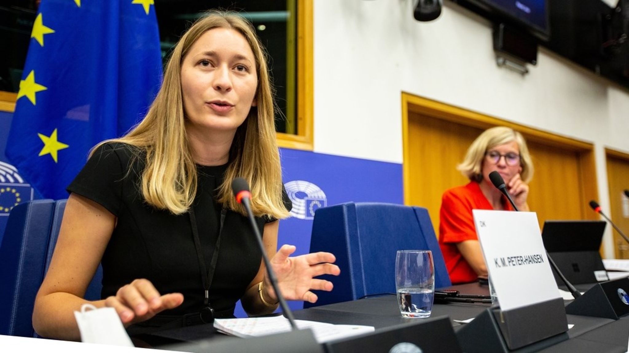Når Erhvervsministeren praler af, at vi i Danmark er langt fremme på ligestilling, og når han bruger det til at argumentere for, at det er i orden, at vi ’lige i dette tilfælde’ stræber efter undtagelser – så er det et tilbageskridt, skriver Kira Marie Peter-Hansen.&nbsp;
