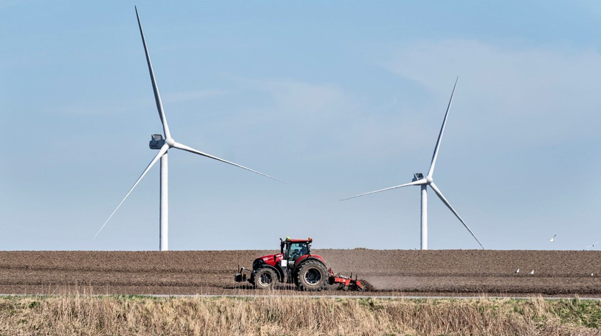 Det næste store skridt skulle efter planen være den CO2-afgift for landbruget, som et ekspertudvalg under ledelse af tidligere økonomisk overvismand Michael Svarer er blevet bedt om at se på. Politikerne har dog ad flere omgange udskudt Svarer-udvalgets rapport, skriver Søren Hove Ravn.