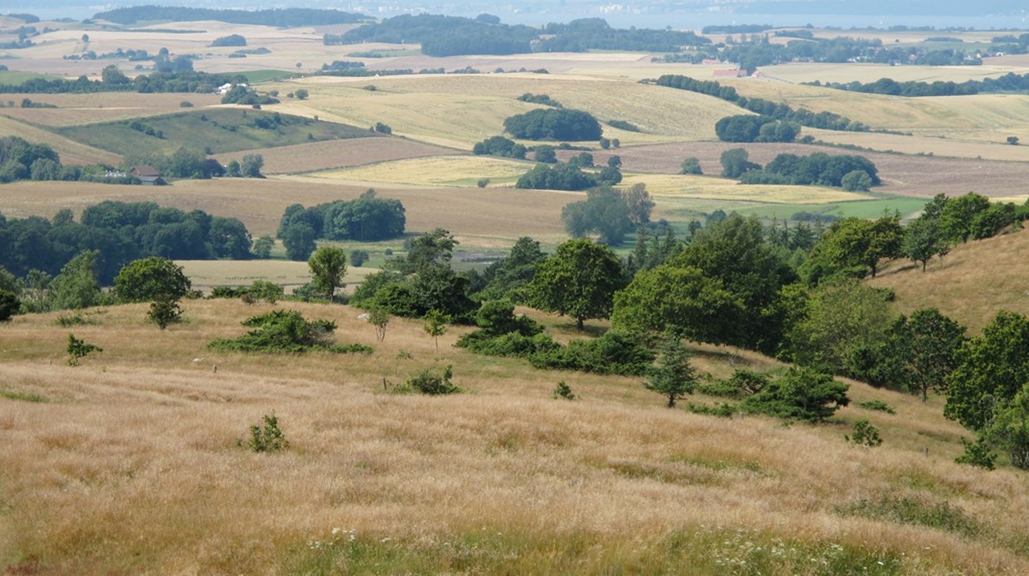 EU's nye naturlov opstiller bindende mål for genopretning af naturen og skal bidrage til, at EU når sit mål om 30 procent beskyttet natur.