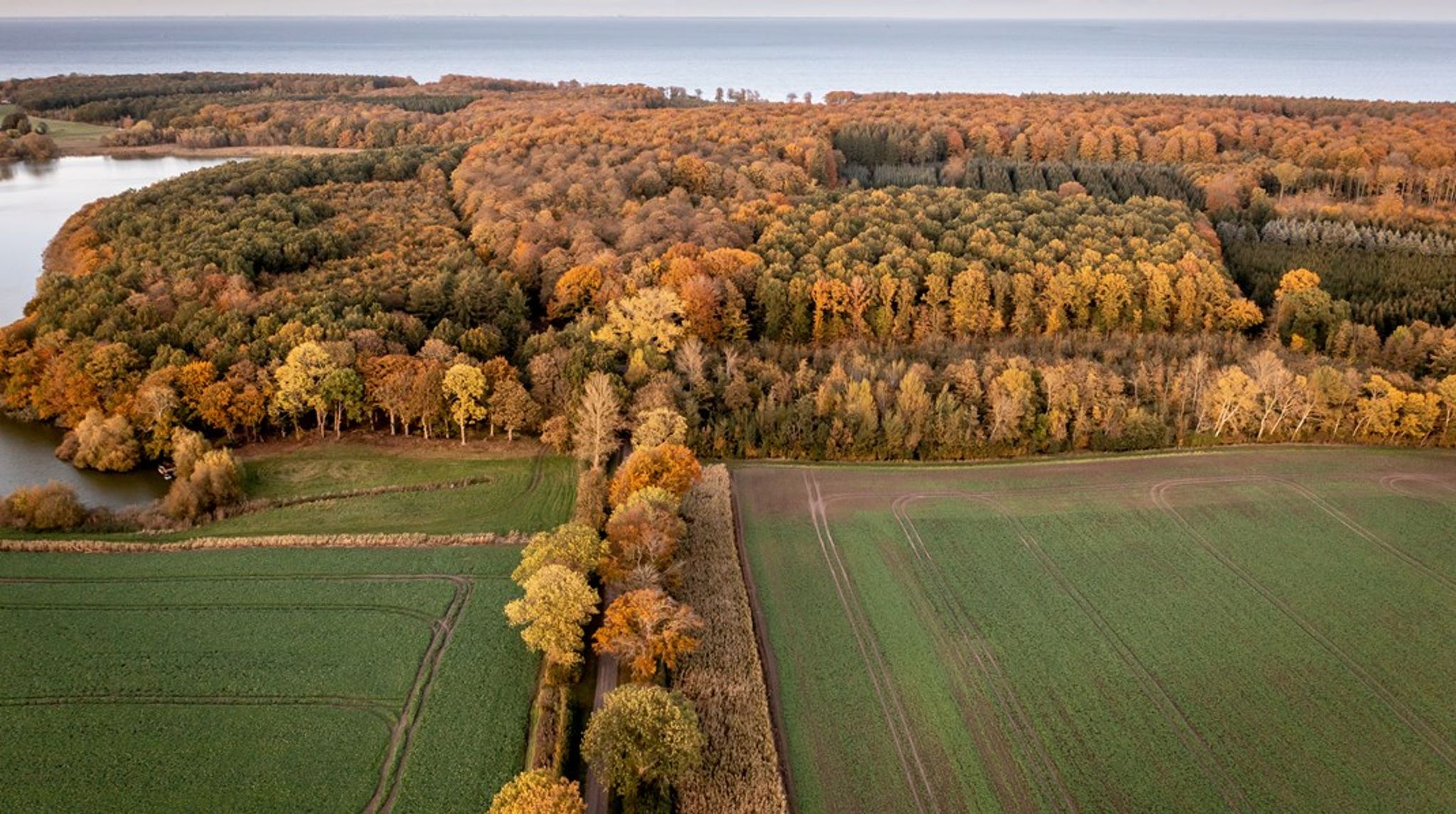 Naturgenopretningsforordningen&nbsp;er en central del af EU’s Biodiversitetsstrategi, der har som overordnet mål, at 30 procent af Europa skal være beskyttet natur – heraf 10 procent strengt beskyttet i 2030.<br>