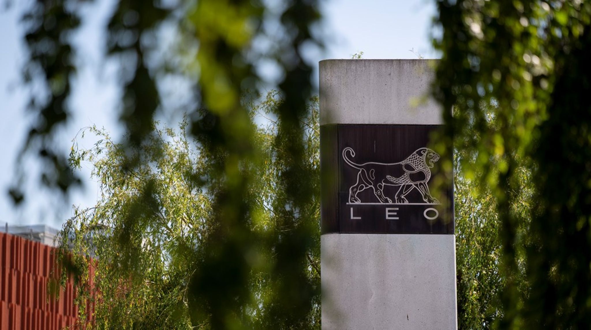 LEO Fondet er ejer af LEO Pharma, der har har særlig fokus på hudens&nbsp;helbred.&nbsp;Serendipity-bevillingerne gives forskere,&nbsp;som aktivt er i gang med et forskningsprojekt, der tidligere har modtaget støtte fra LEO Fondet.