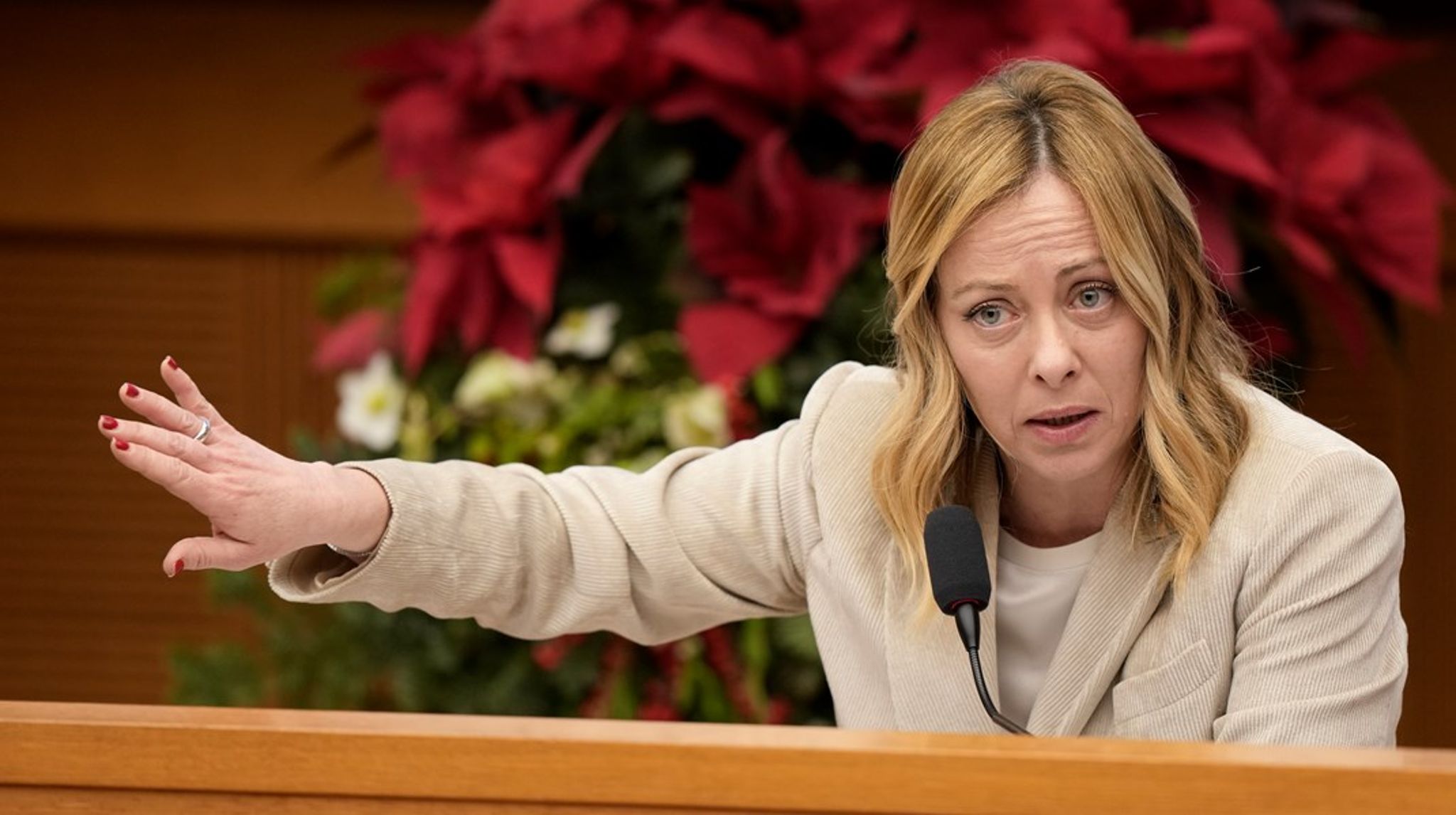 Den italienske regering&nbsp;under ledelse af Fratelli d'Italias Giorgia Meloni har stemt imod ratificeringen af&nbsp;den Europæiske Stabilitetsmekanisme, der er eurolandenes krisefond, skriver Susi Meret.