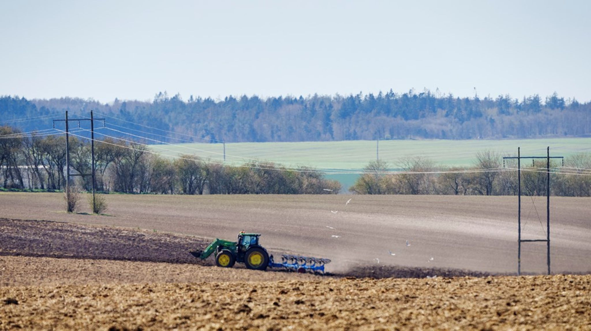 Landbrugets mest populære PFAS-pesticid er ukrudtsmidlet diflufenican. Det er så populært, at de årlige indkøb af midlet blev øget væsentlig i 2020 og 2021, skriver Søren Wium-Andersen.<br>