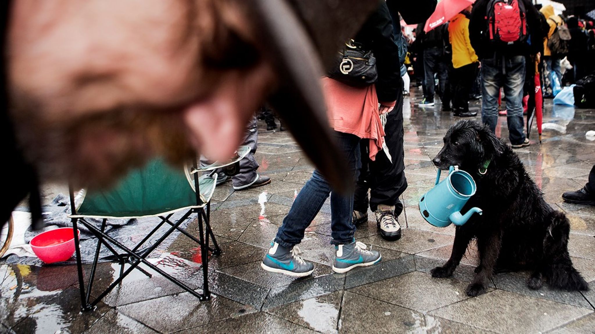 Socialforvaltningen i København har blandt andet til opgave at hjælpe hovedstadens udsatte og hjemløse borgere. 
