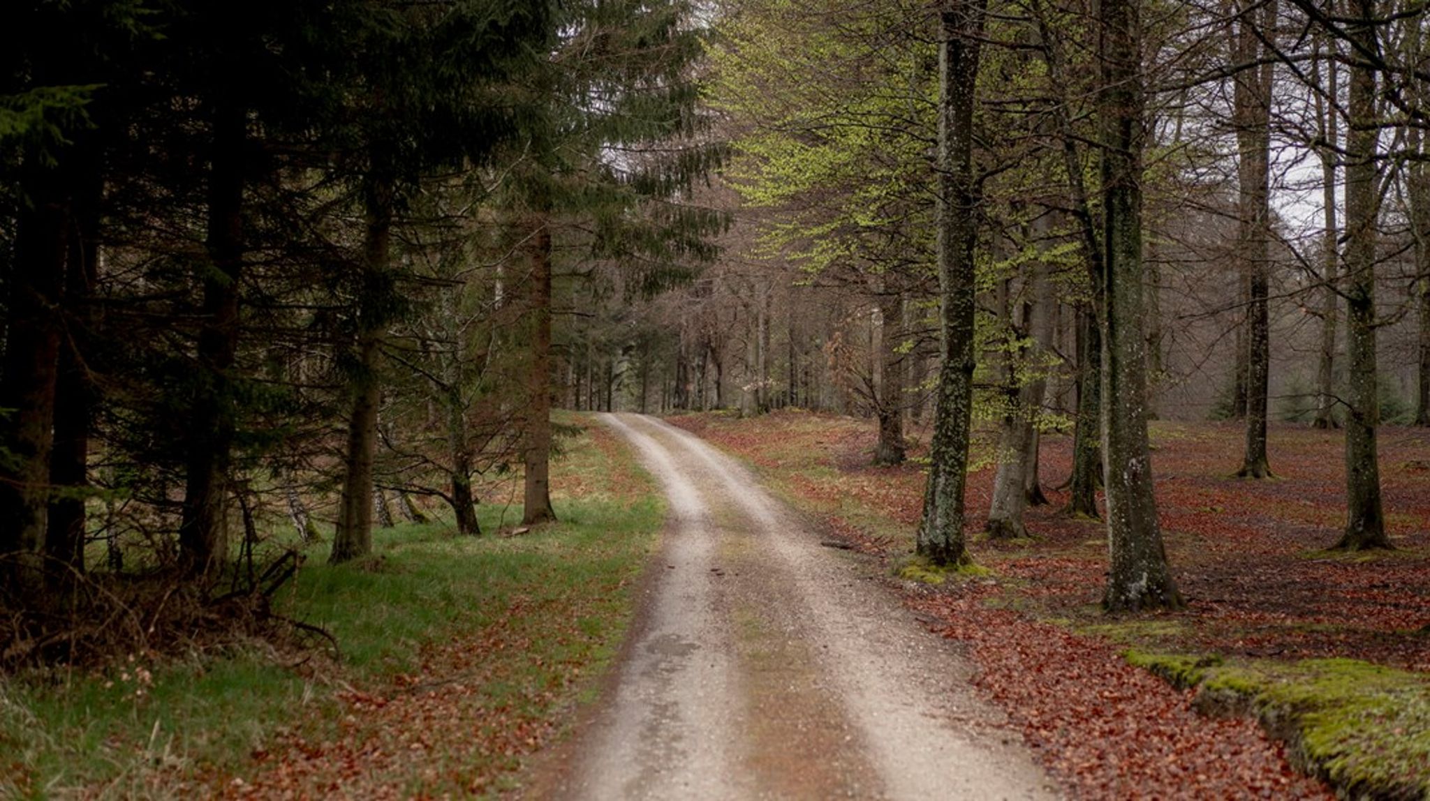 Denne nye fremskrivning bringer Danmark tættere på klimamålet for 2030.