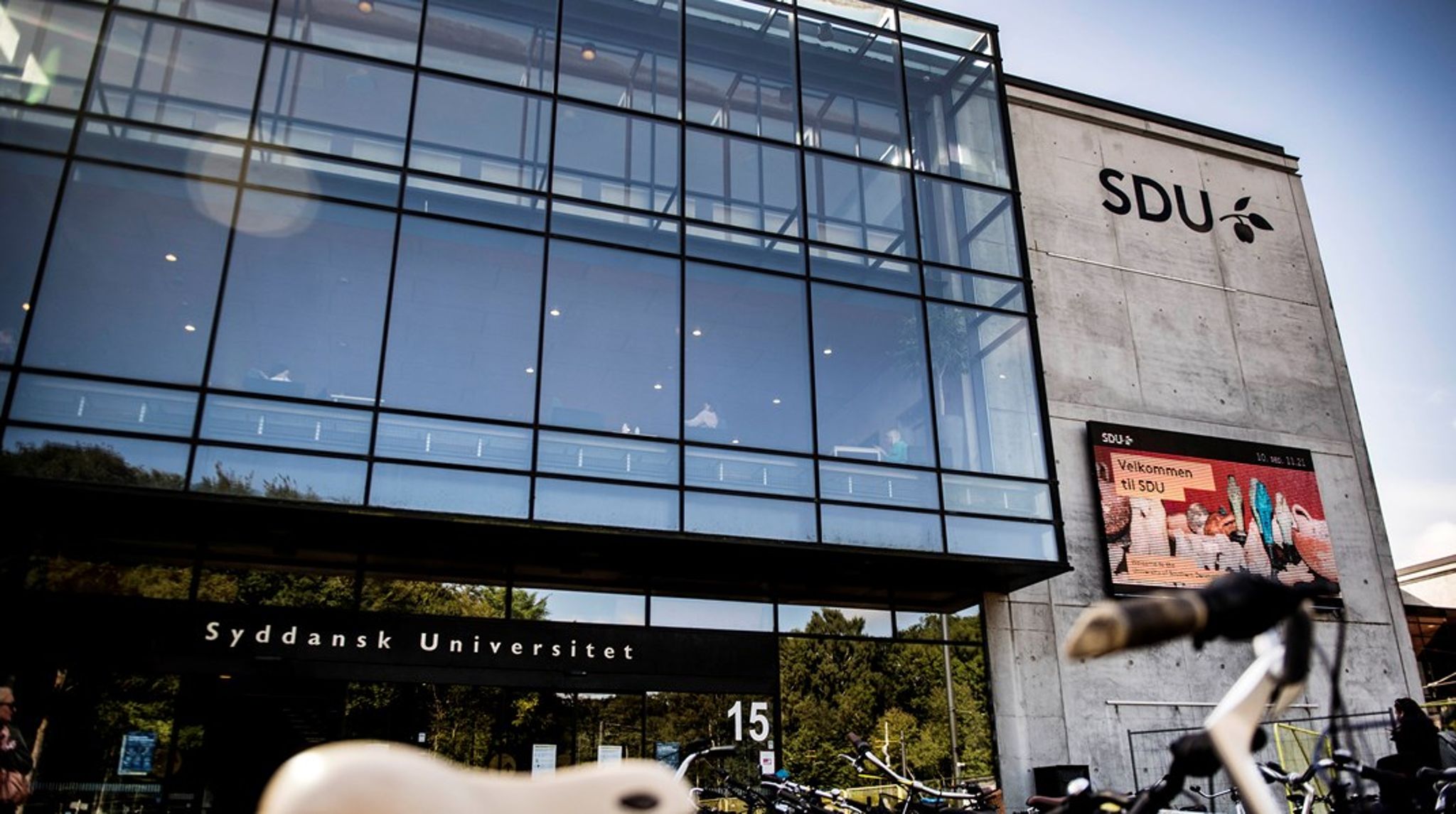Pernille Tanggaard Andersen forfremmes til institutleder på SDU.