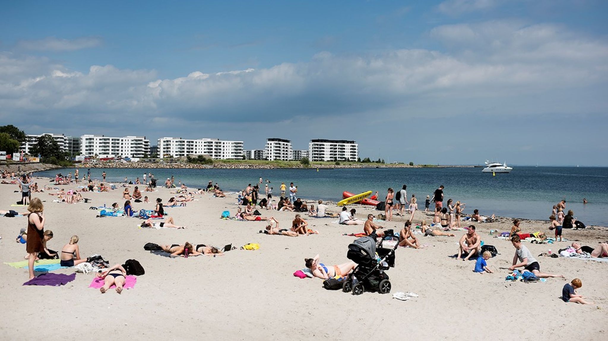 Sommerferietid betyder læsetid. Altinget bringer overblik over årets bedste politiske bøger.