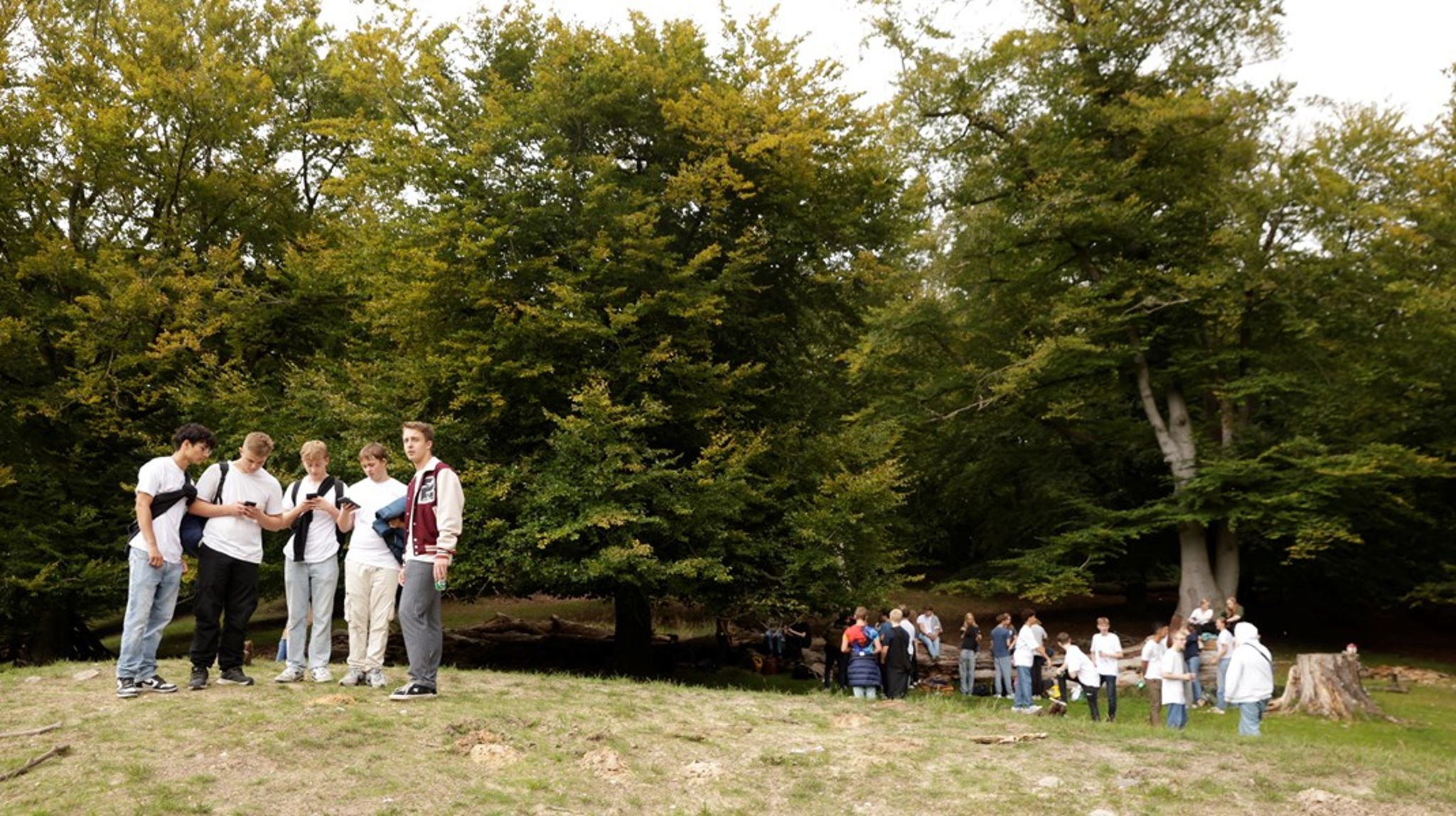 Ved at tage vores relation til naturen alvorligt og gøre det til en del af den almendannelse, man tilegner sig i forbindelse med de tre år i gymnasiet, bibringer vi de kommende generationer en følelse af forbundethed til naturen, skriver&nbsp;Maja Bødtcher-Hansen