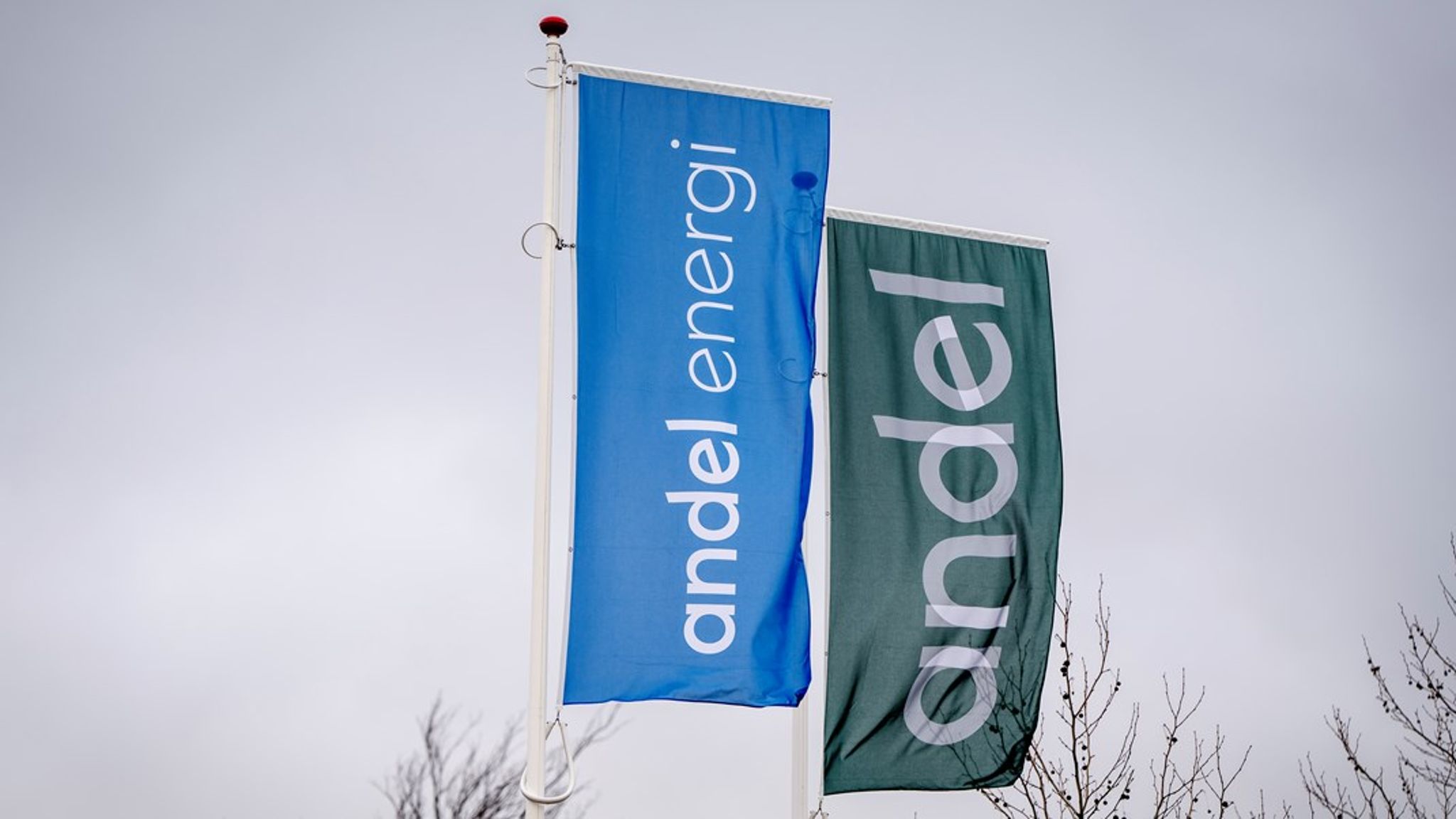 Birgitte Skøtt Lenstrup er ny direktør for Marketing & Digital i Andel Energi.