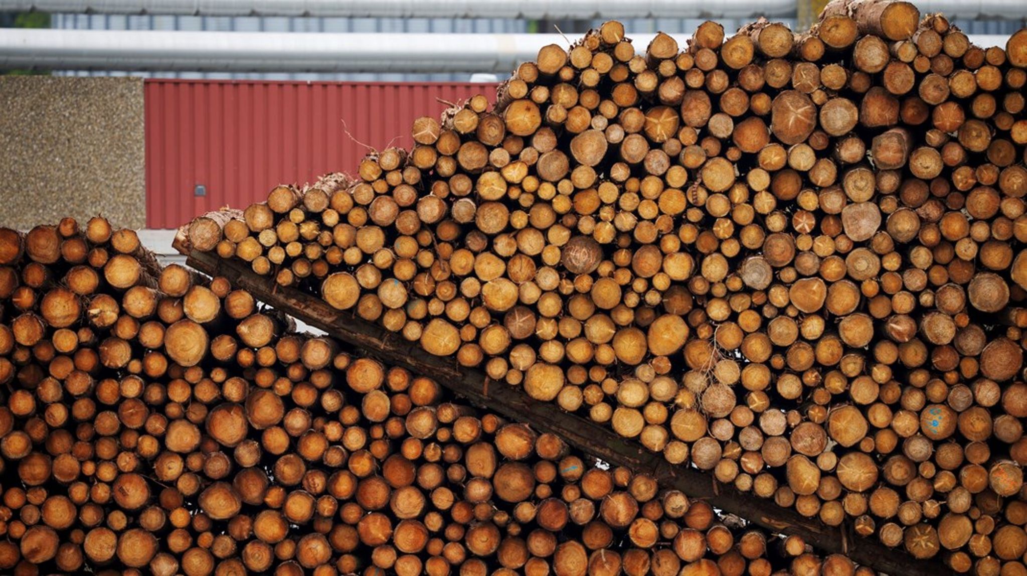 Det tæller ikke med i det danske klimaregnskab, når Danmark hvert år brænder flere millioner ton biomasse af på varmeværkerne.&nbsp;