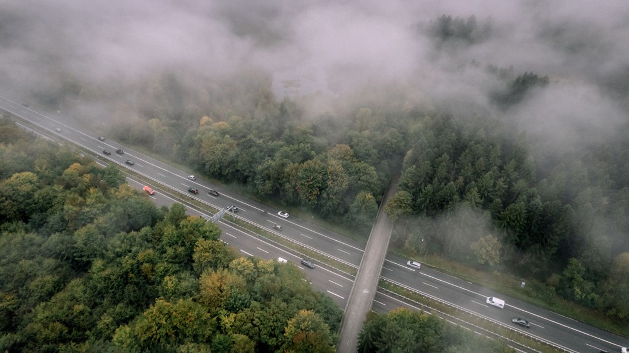 En ny motorvej ved Viborg vil ødelægge landskabsværdier og sammenhængende natur, mener&nbsp;Styrelsen for Grøn Arealomlægning og Vandmiljø.