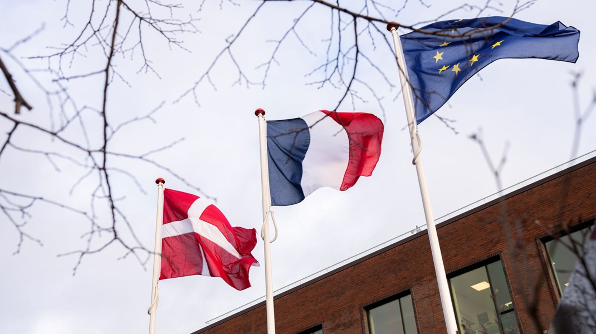 Fransk bør få en langt mere fremtrædende plads i Danmarks uddannelsessystem, hvis vi vil være klar til en fremtid, hvor engelsk, fransk og tysk bliver de bærende sprog i Europa og vores nærområder, skriver Hanne Leth Andersen og Lars Damkjær.
