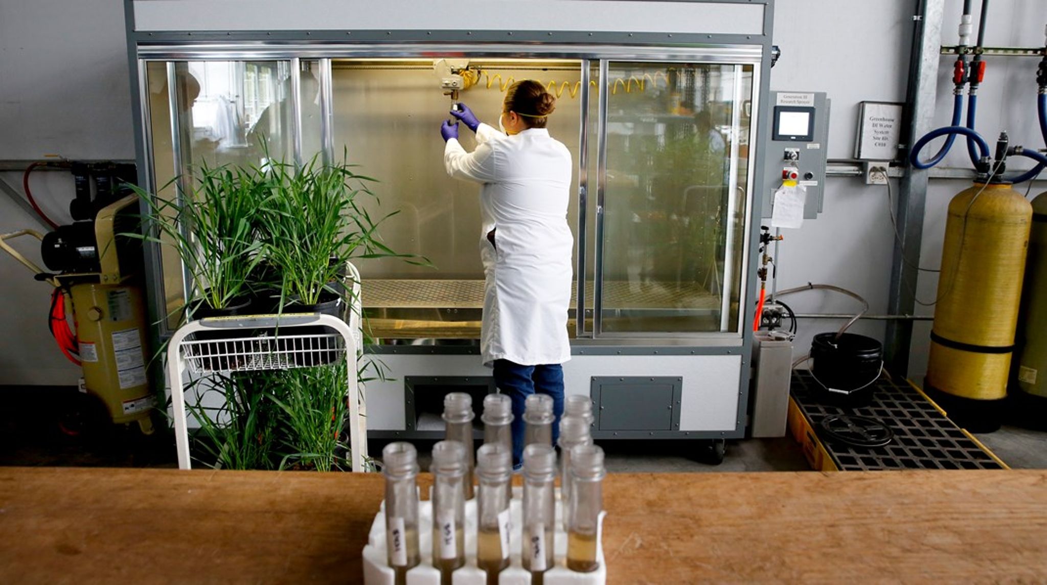 Den danske biosolutionssektor alene bidrager med over 13 milliarder I
BNP og forventes at beskæftige over 14.000 mennesker i 2030, skriver
Wilhelm Thomsen, Matilde Dydensborg og Cecilia Zade Iseni.<br>