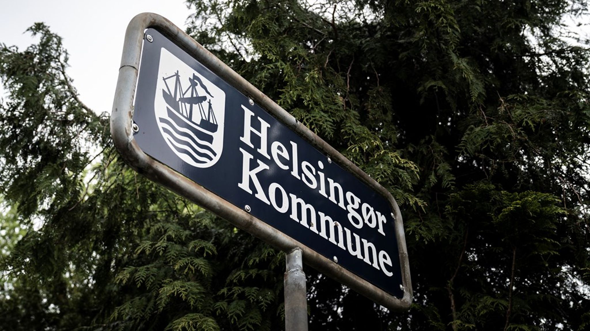 Som redaktør ved&nbsp;Sjællandske Nyheder dækkede&nbsp;Susanna Arpi&nbsp;kommunerne Helsingør, Fredensborg og Hørsholm.