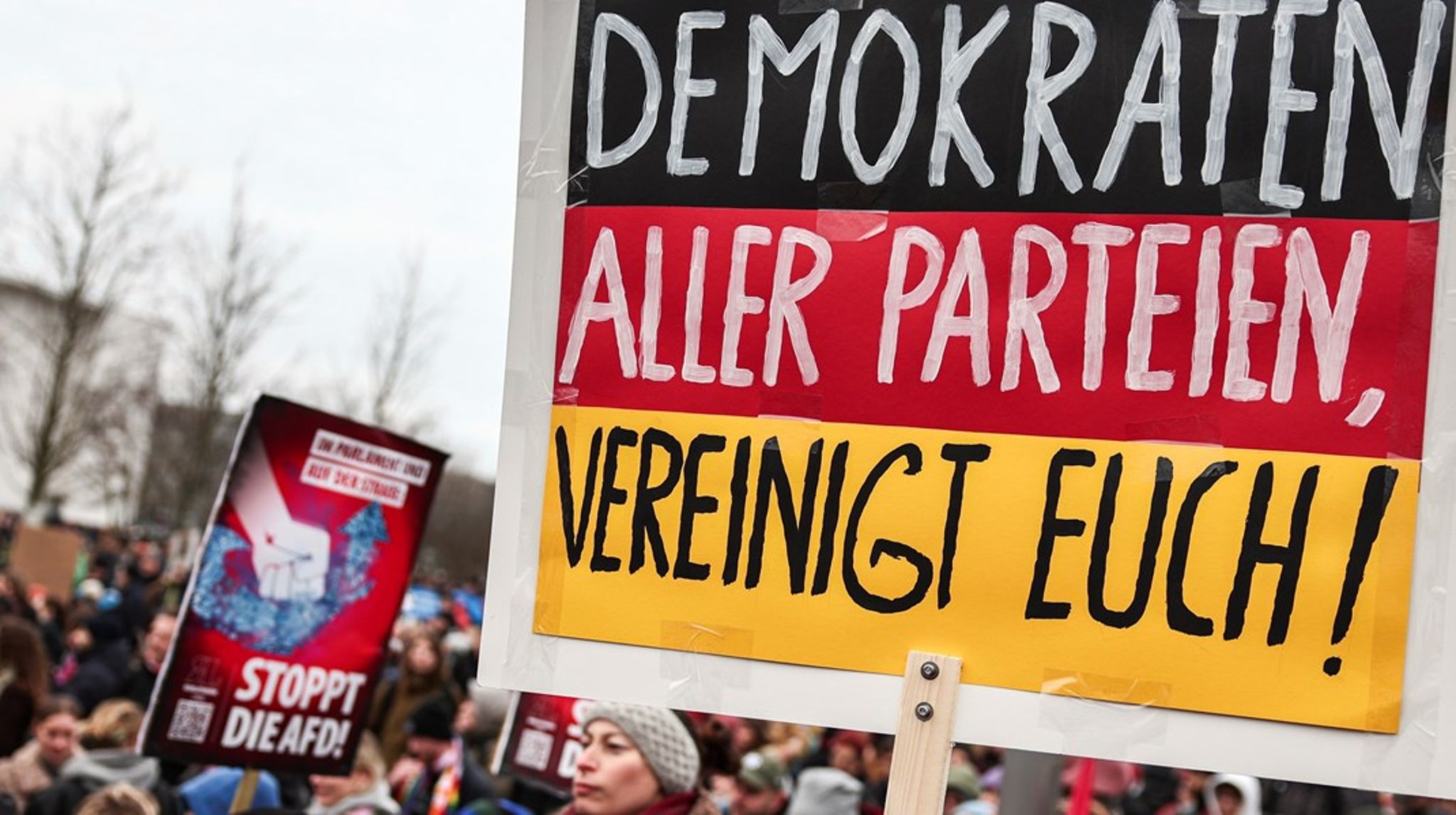 "Demokrater i alle partier, foren jer!" Tyskere i hundredtusindevis har protesteret over AfD's voksende popularitet.