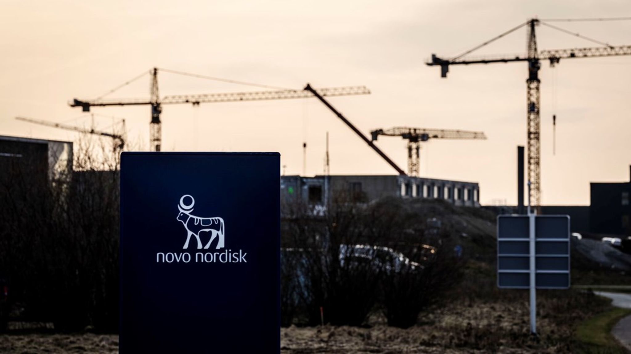 Novo Nordisks meget store overskud skæpper godt i kassen i de kommuner, hvor virksomheden har ansatte. Anderledes kan det se ud i landets godt 90 øvrige kommuner.