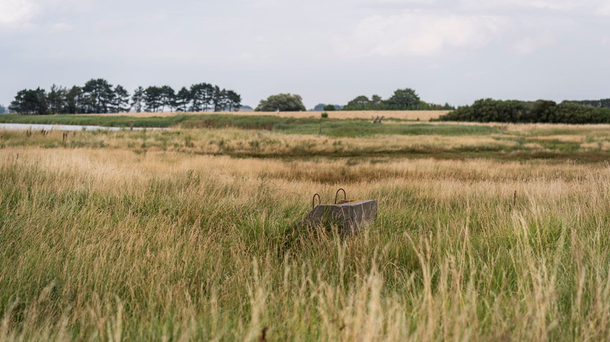Danmark kunne med fordel lade sig inspirere af England, der allerede er i gang med at overveje, hvordan landets samlede areal kan bruges bedre, skriver Helga Grønnegaard. 
