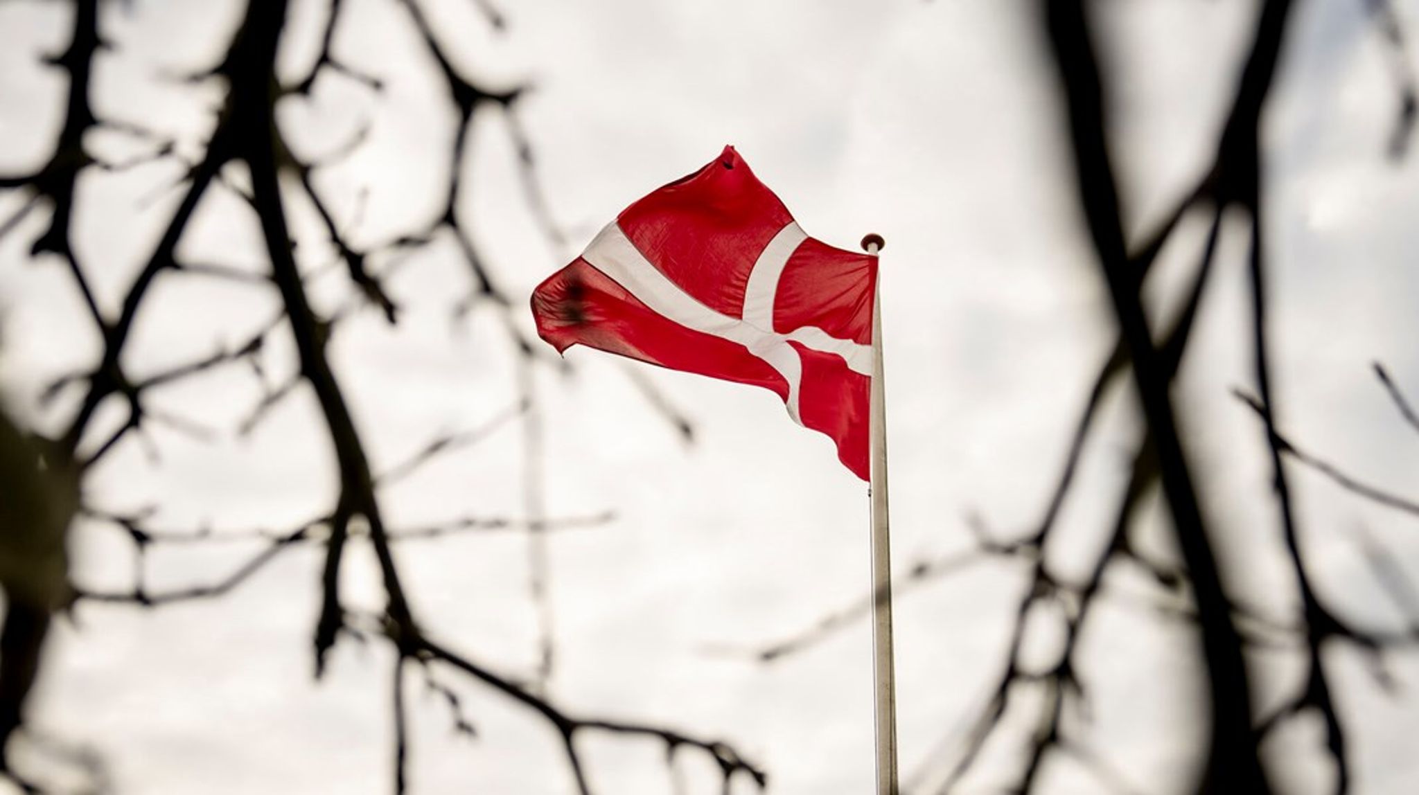 Dannebrogs-Samfundet vil udbrede kendskabet til og anvendelse af Dannebrog.