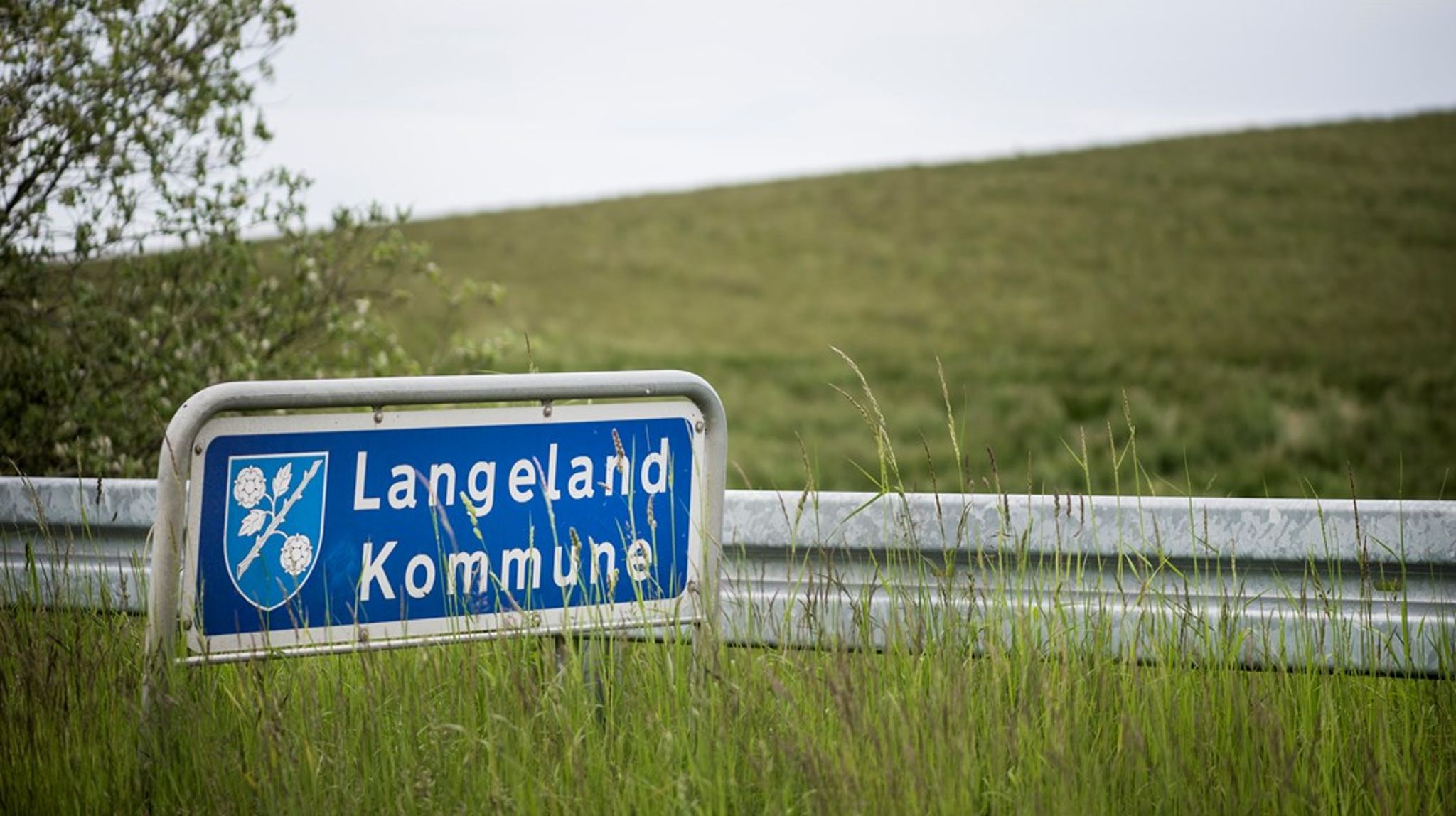 Langeland Kommune skal finde sig en ny socialchef. 