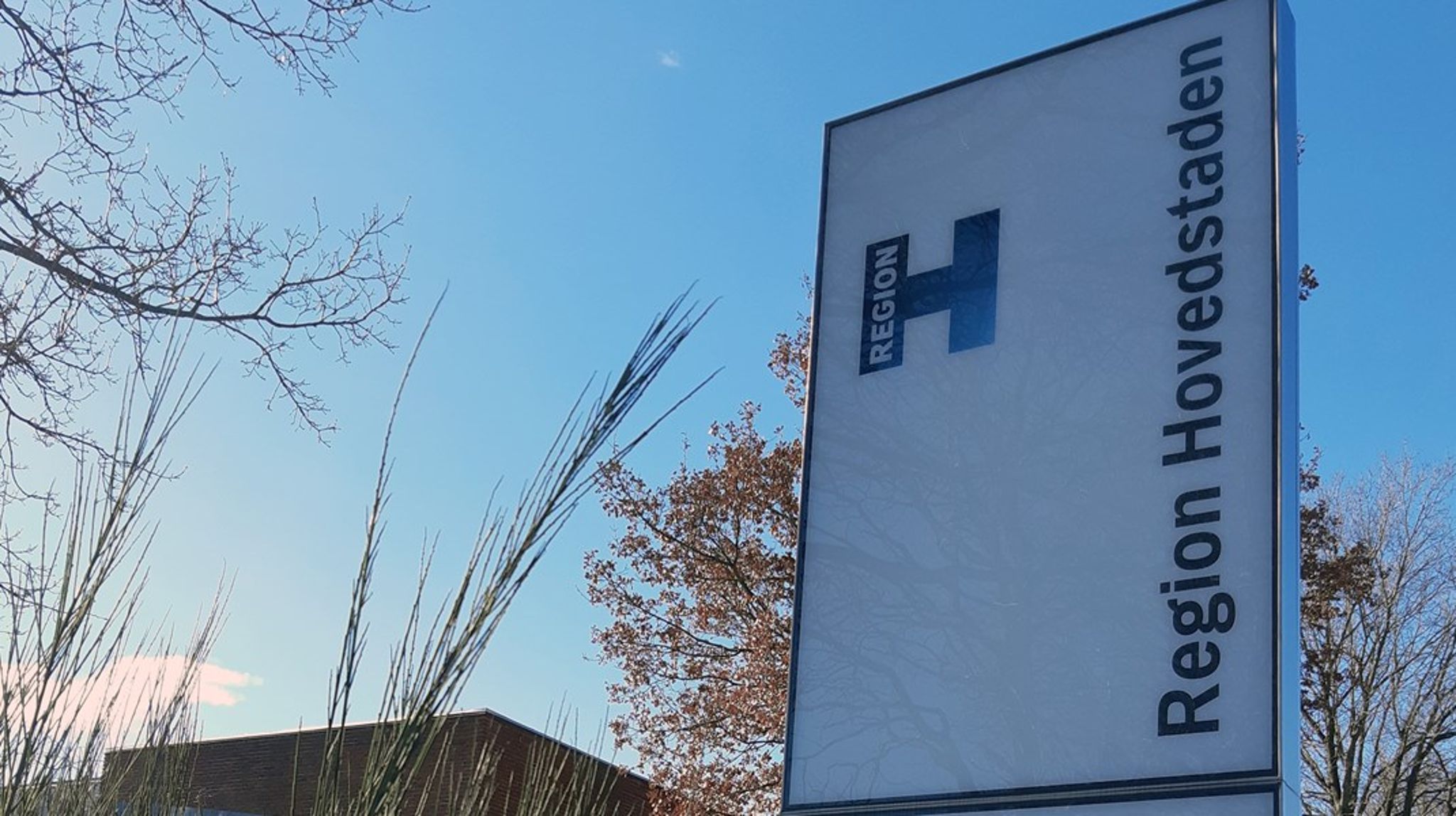 Region Hovedstaden modtager Sammenhængsprisen.
