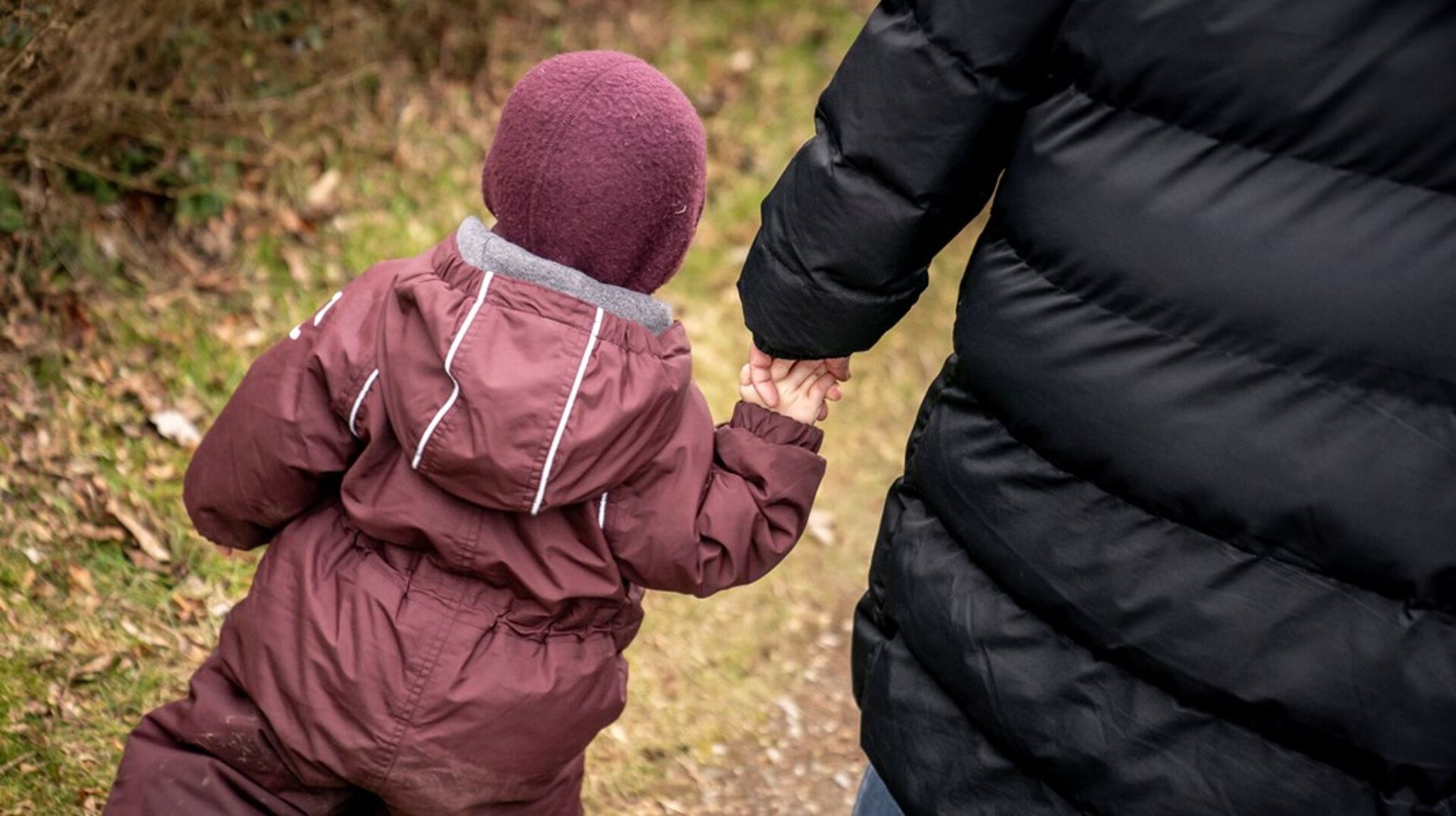 FamilieAlliancen finder ny direktør.