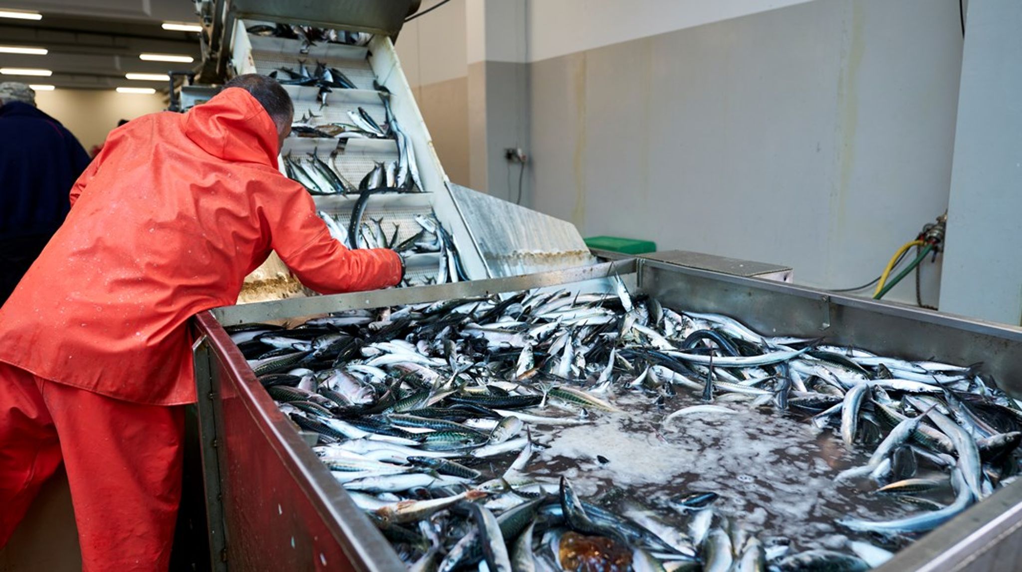 Regeringen forsøger på fjerde måned at lande en ny fiskeriaftale. Nu viser det sig, at fiskeriet CO2-afgift kan være i strid med EU-juraen og få en kommende aftale til at falde på gulvet.