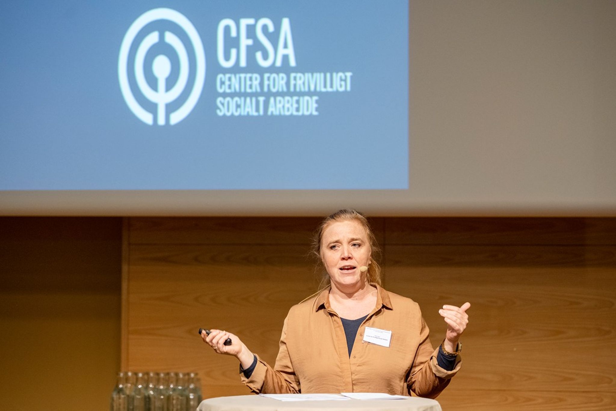 Rillo Rud tiltrådte som centerchef for Center for Frivilligt Socialt Arbejde i juni 2024. Forud for hendes tiltrædelse var CFSAs bevilling blevet skåret ned til en tredjedel i forhold til året før. Nu ser det ud til, at centret er udset til at skulle varetage opgaven med at forvalte driftsstøtte til frivillige sociale organisationer. 