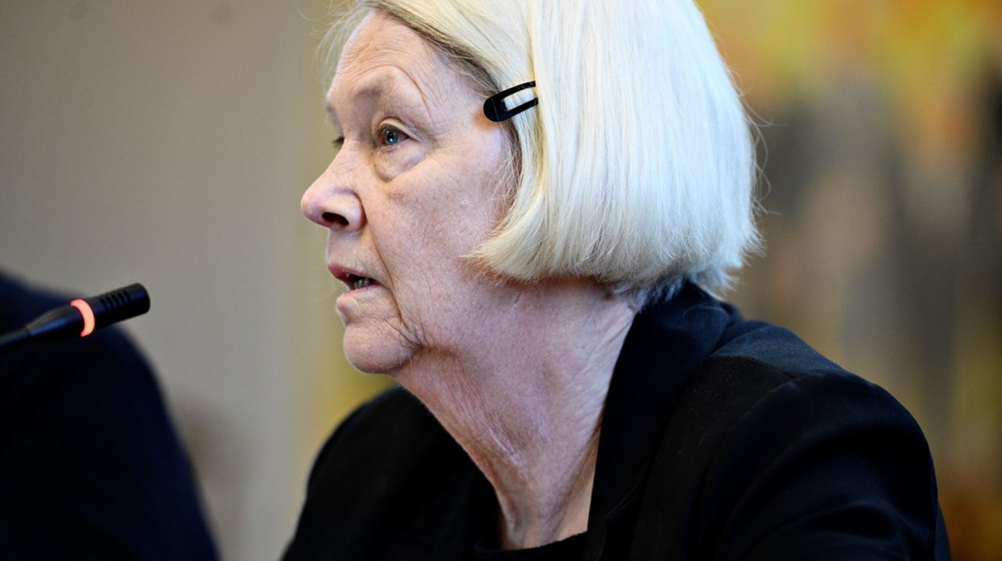 Ulla Sandbæk til en høring i Folketinget&nbsp;om&nbsp;hjemtagelse af danske børn i syriske lejre i 2020.<br><br>