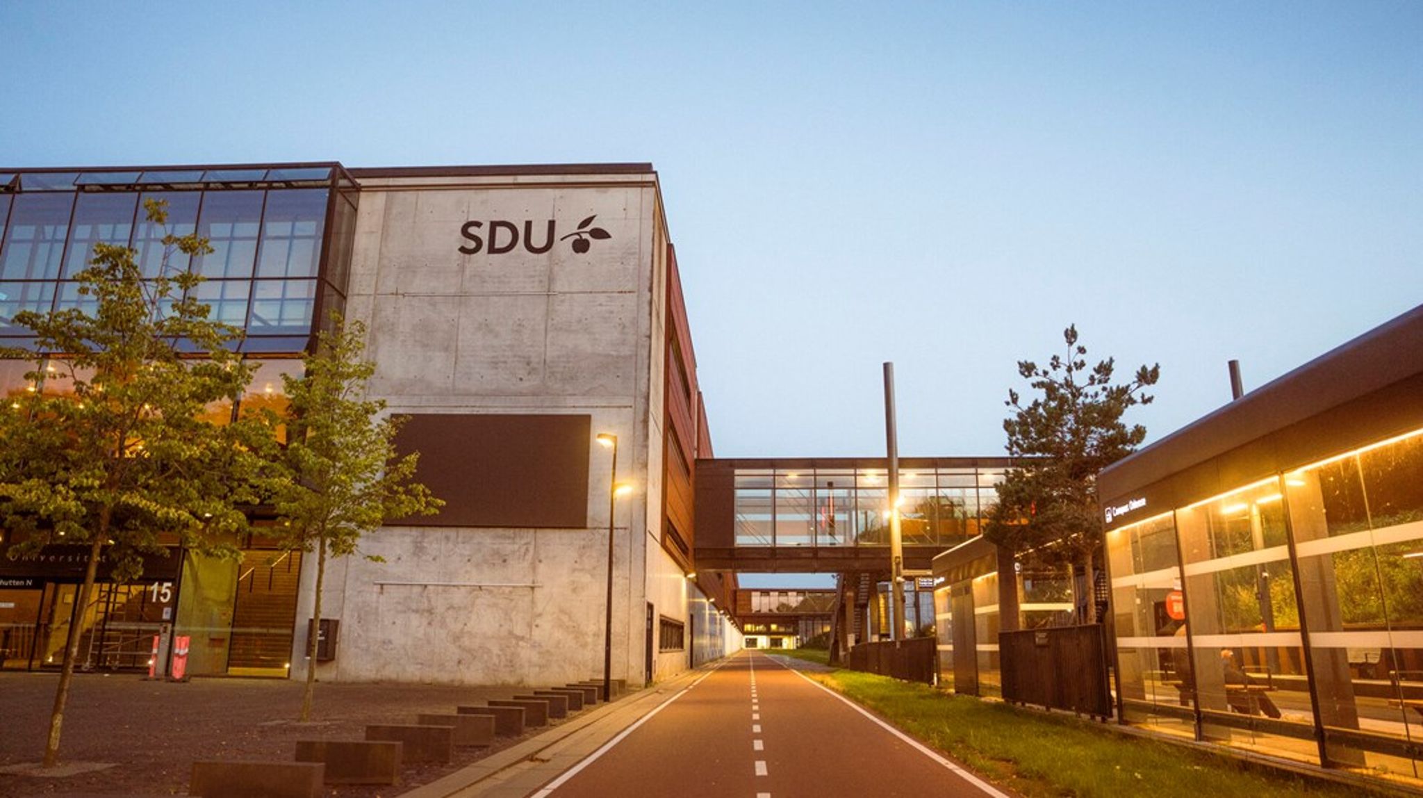 Når julelysene tændes, er det ny institutleder på Institut for Statskundskab ved Syddansk Universitet.