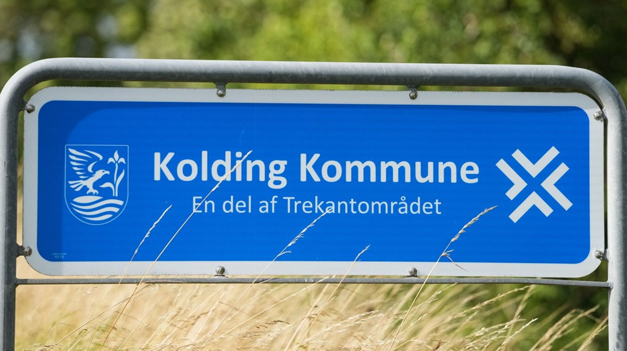 Simone de Lemos skal fra 1. december møde på arbejde i Kolding Kommune.