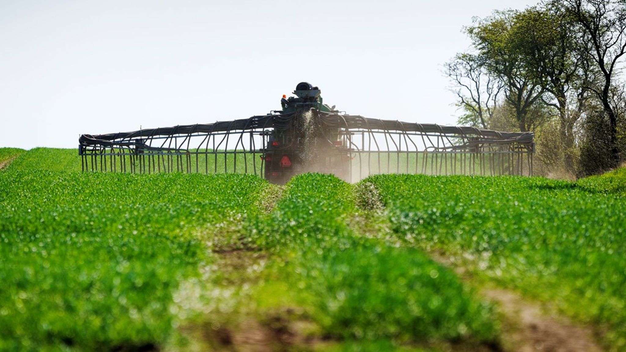Det kan godt lyde simpelt, men prøv at forklare den lavtlønnede, hvorfor personen skal betale det samme som milliardæren, skriver rådgivere fra Danmarks Naturfredningsforening, Greenpeace, Rådet for Grøn Omstilling, Danmarks Sportsfiskerforbund og WWF.
