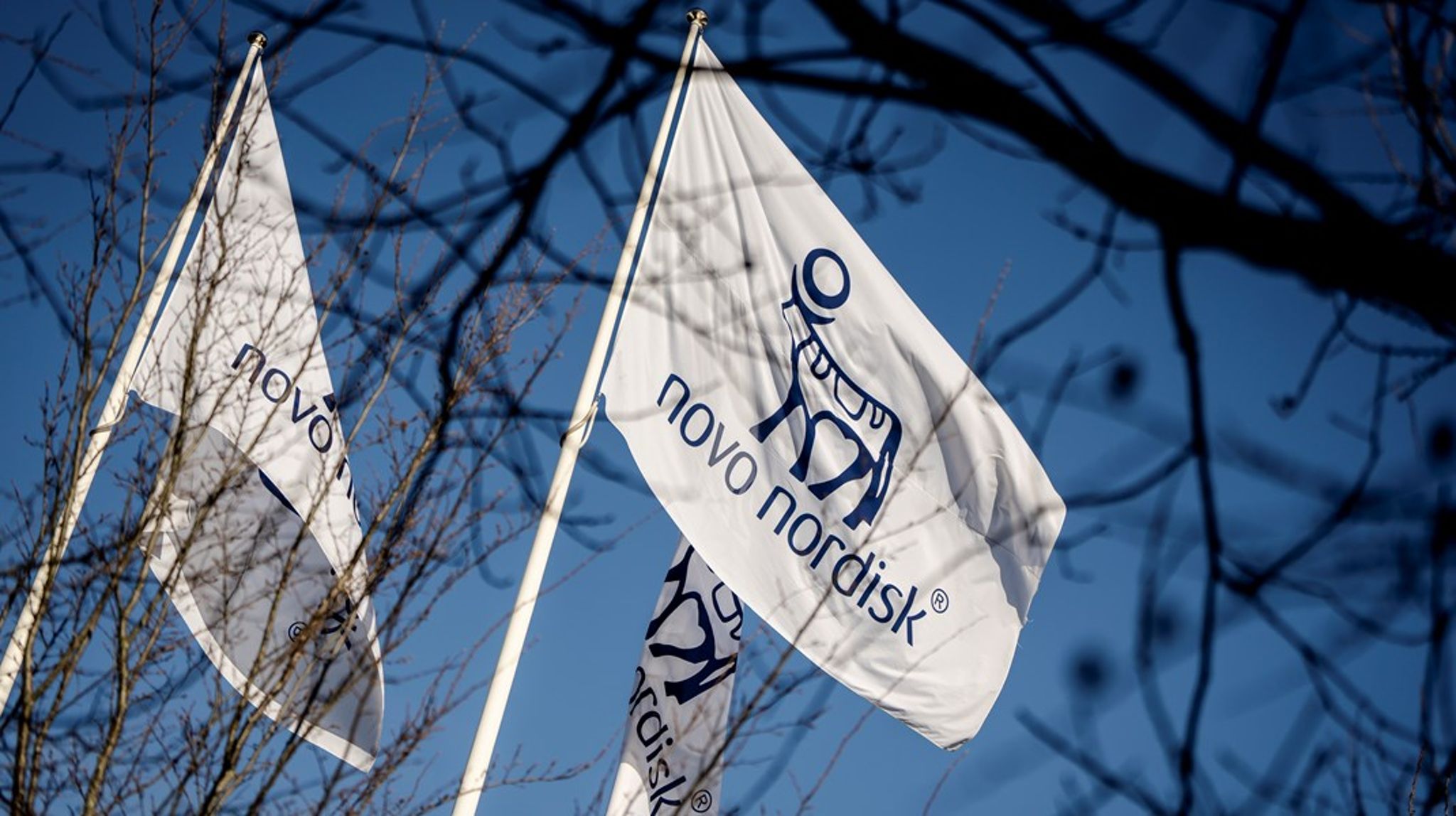 Tina Vilsbøll skal i sin nye rolle som Senior Medical Officer være med til at styrke Novo Nordisks arbejde med forskning og udvikling inden for diabetes og fedme.
