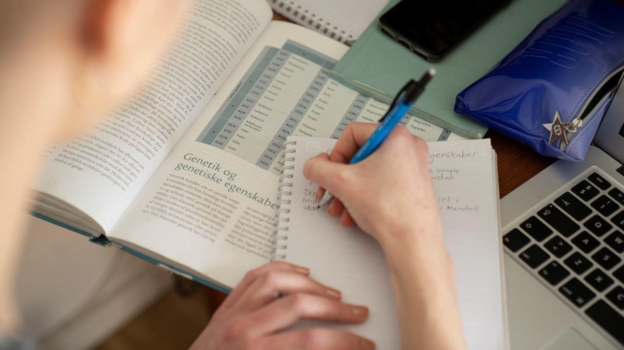 Gymnasieopgaver er tekster, der er gennemarbejdede og gennemtænkte. Faktisk er der med stor sandsynlighed brugt længere tid på dem end på langt de fleste opinionstekster, der bringes i de etablerede medier, skriver Marie Holt Hermansen.<br>