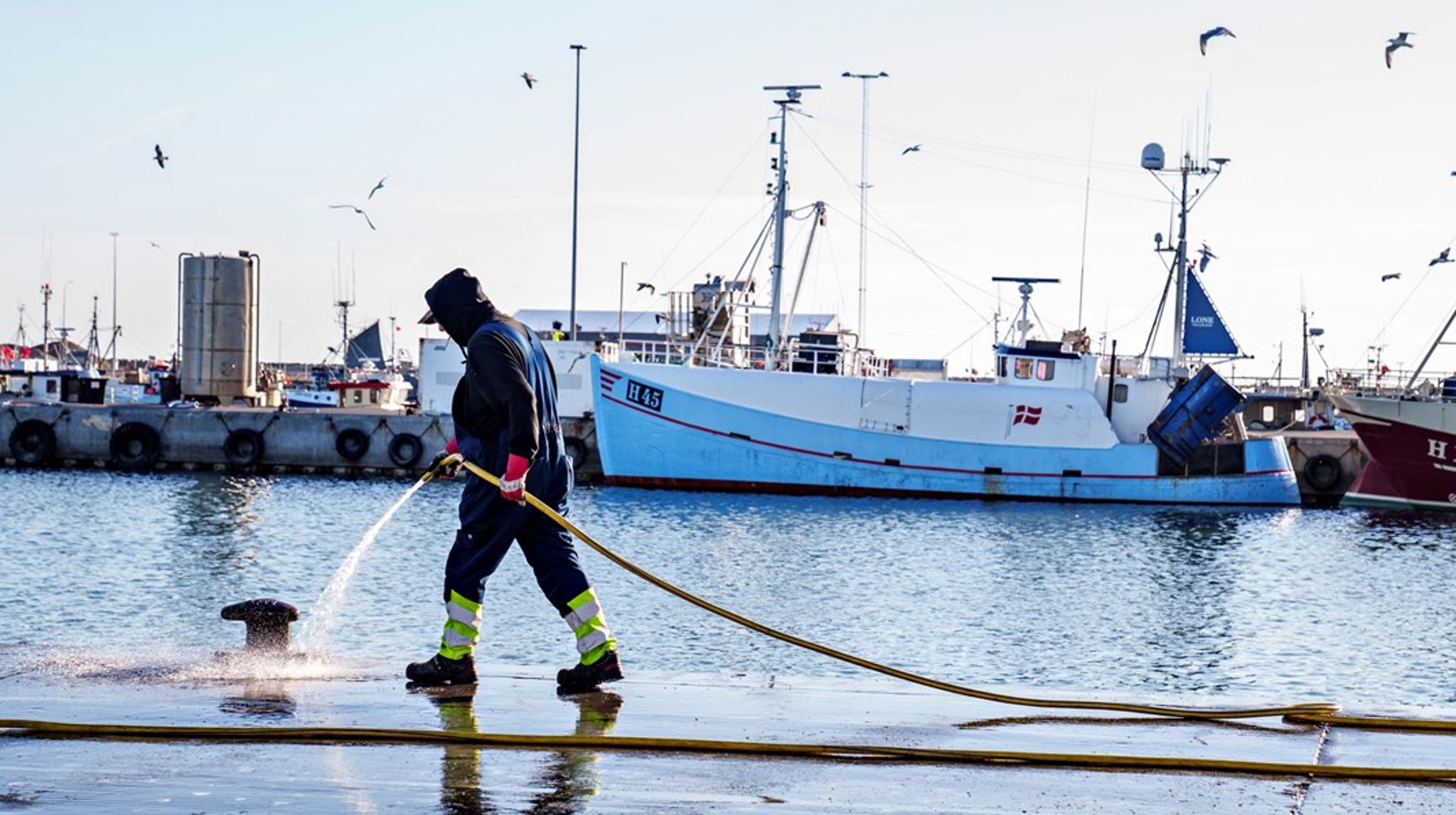 Vi vil meget hellere samarbejde end diskutere rundt om på debatsiderne. Vi har samme mål – flere fisk i havet, skriver Henrik S. Lund.