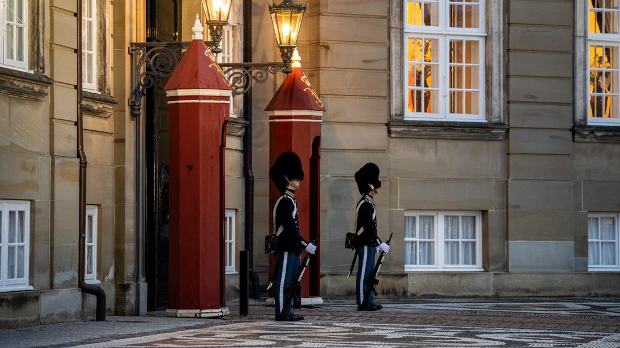 Få timer efter kongens tale var slut, trådte en 24-årig klimaaktivist frem foran Amalienborg med et banner.&nbsp;Reaktionen var som bekendt voldsom,&nbsp;skriver Naima Yasin.
