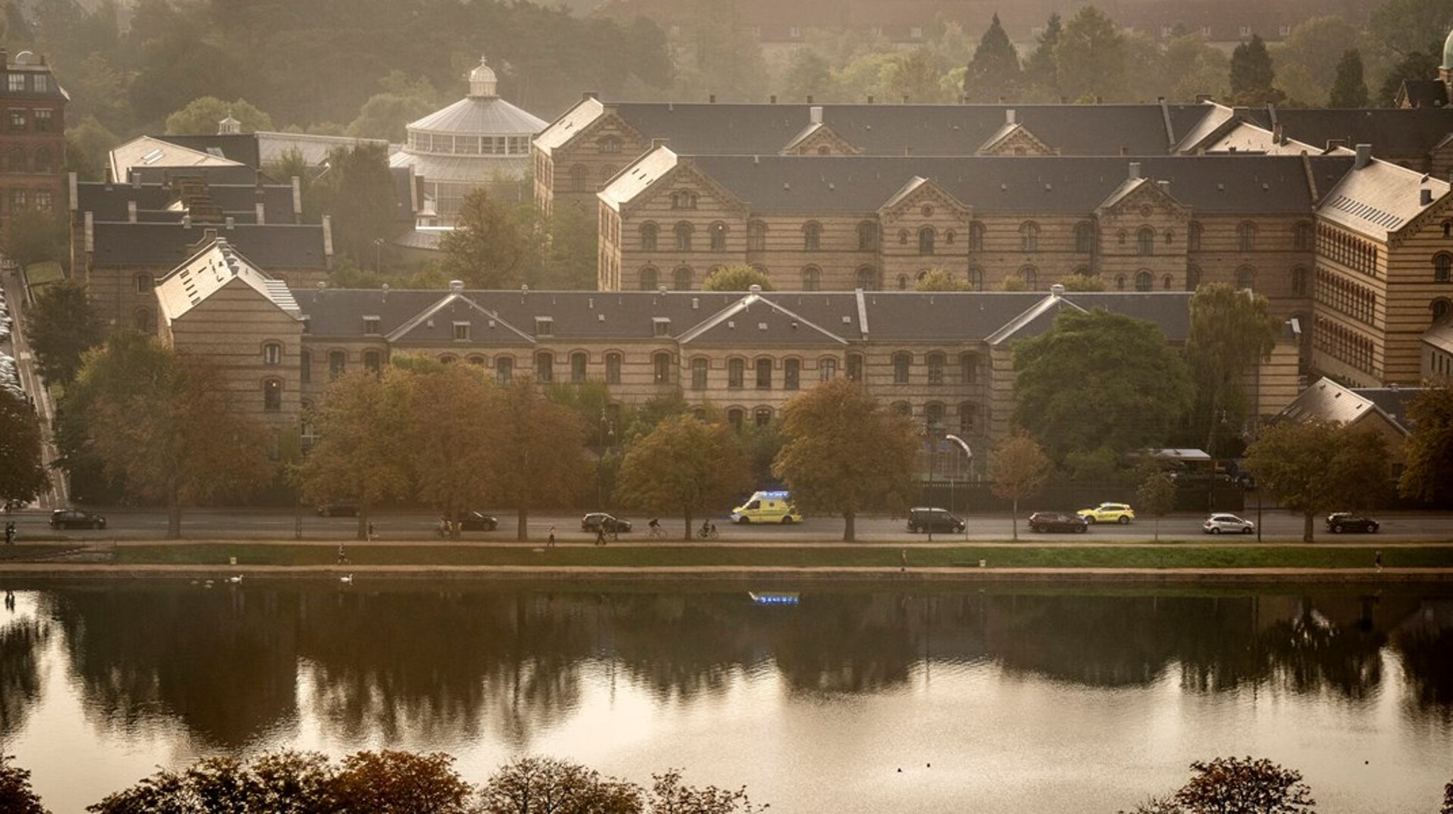 Københavns Universitet udpeger nyt&nbsp;repræsentantskab.