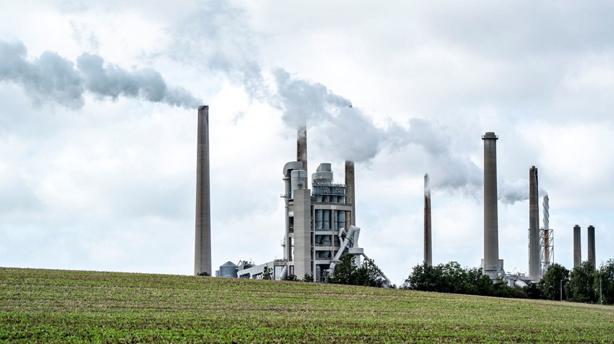 Cementgiganten Aalborg Portland er den eneste tilbageværende kandidat i udbudsrunden.