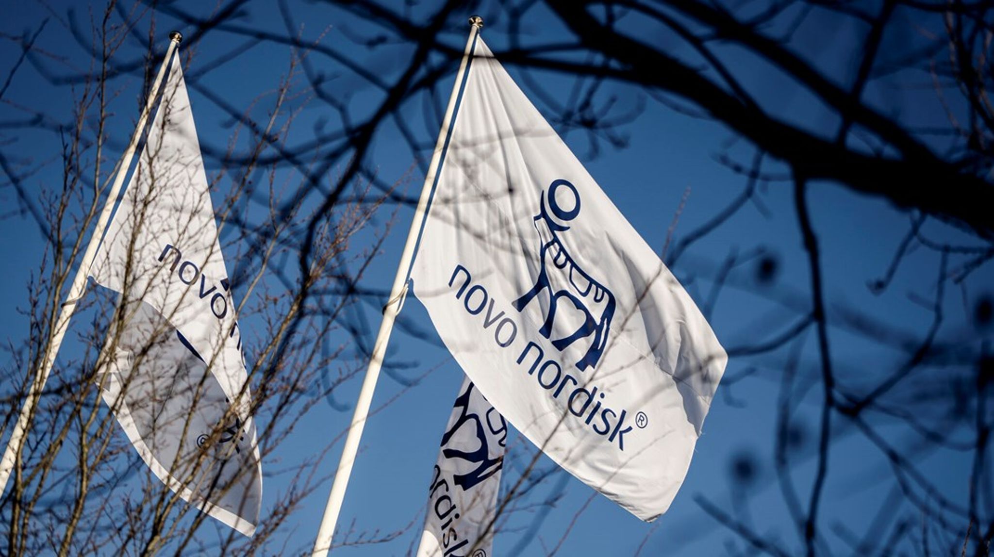 <div>Novo Holdings har betalt 21,6 milliarder kroner i selskabsskat i 2024. Det gør selskabet til årets&nbsp;absolut største betaler i 2024.</div>