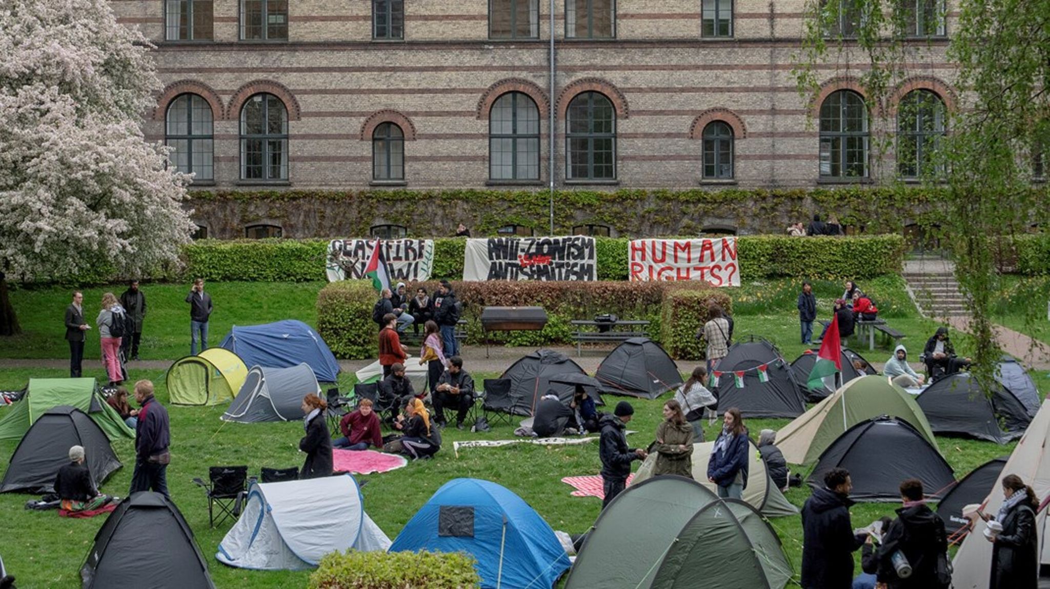 Utilfredsheden med, at universiteter leverer økonomi til Israels krig i Gaza, startede på de amerikanske universiteter. Divest-bevægelsen spredte sig siden til studerende i andre lande, blandt andet Danmark.