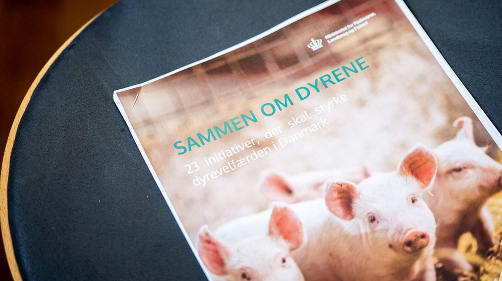 Ministeriet for Fødevarer, Landbrug og Fiskeri har fundet ny&nbsp;afdelingschef.&nbsp;(Arkivfoto)