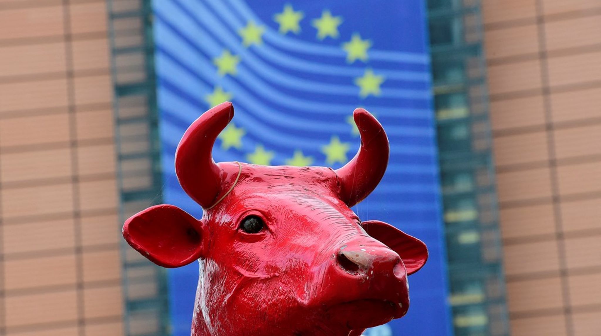 Flere ting bør rettes til i Kommissionens forslag til EU's næste fælles landbrugspolitik, mener Den Europæiske Revisionsret. Arkivfoto.