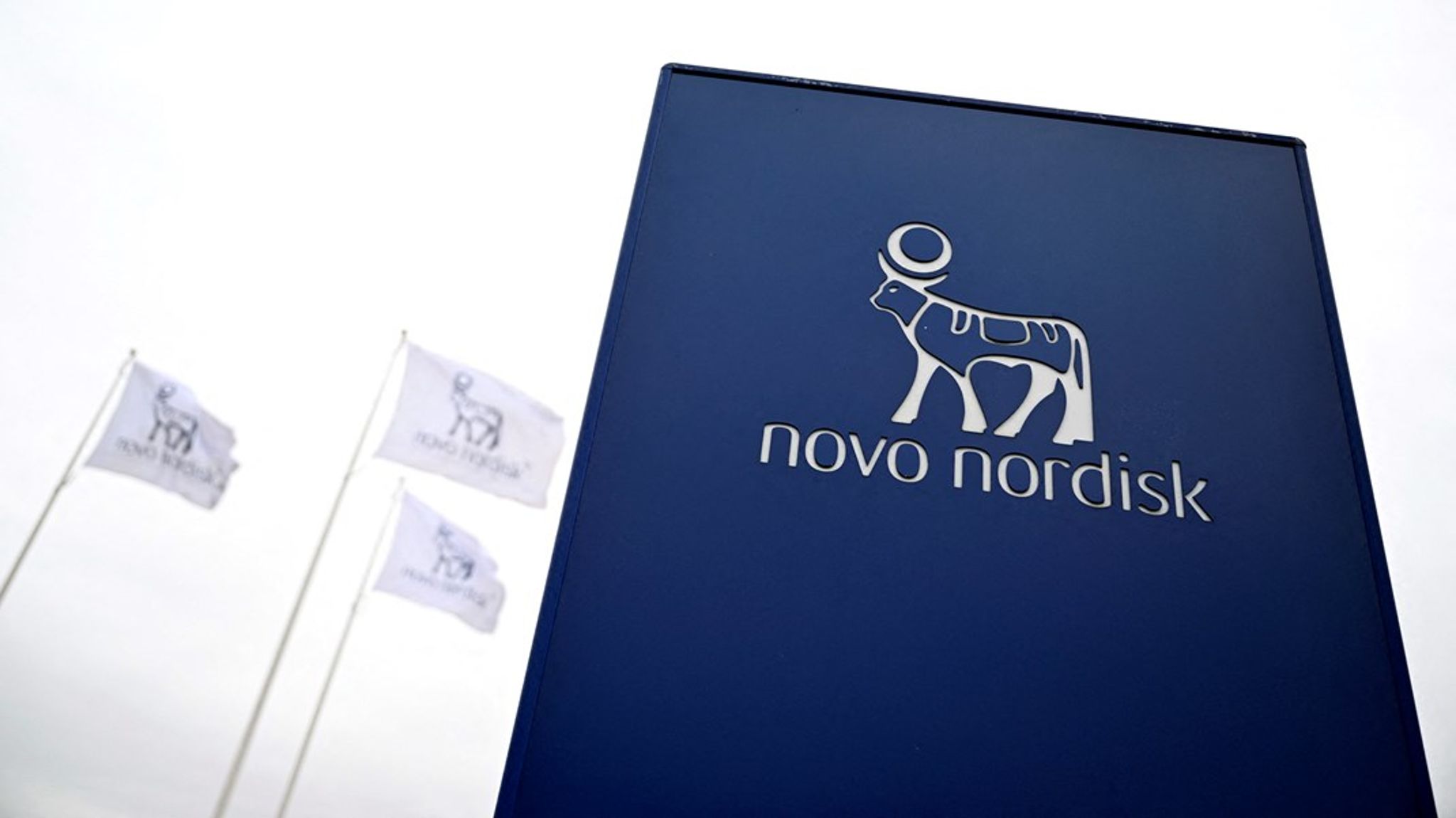 Vi ser i stigende grad patientrettede kampagner, symptomhjemmesider og digitale universer, hvor sygdom, risici og behandlingsmuligheder formidles af virksomheder med direkte økonomisk interesse i behandlingen, skriver Maria Krüger og Morten Freil.