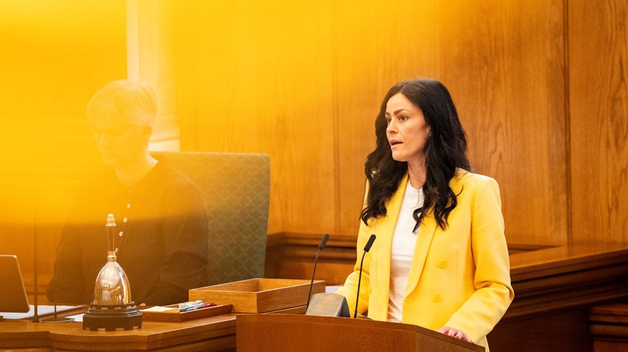 Mette Thiesen (DF) er Europaudvalgets nye næstformand.