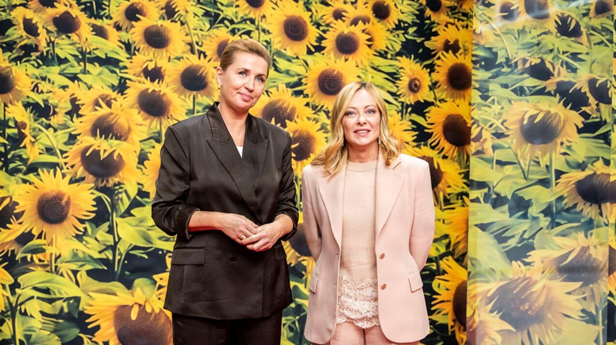 Det var statsminister Mette Frederiksen (S) og den italienske premierminister, Georgia Meloni, der for alvor kickstartede debatten for snart præcist et år siden.