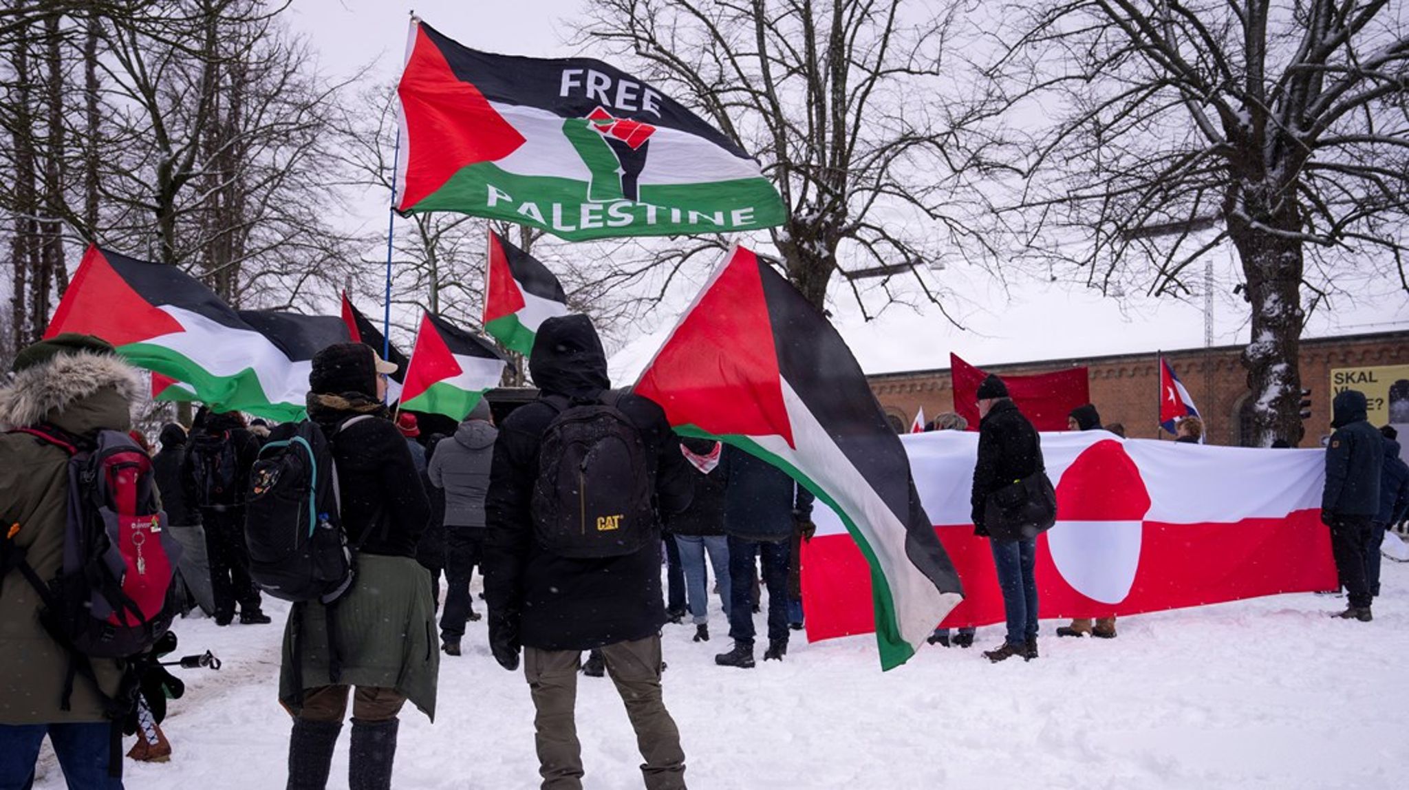 Det grønlandske parti IA vil anerkende Palæstina, men grundloven står i vejen. Billedet er fra en demonstration i Aarhus, hvor folk demonstrerede mod USA's rolle i både Grønlandskrisen og Gaza.&nbsp;&nbsp;