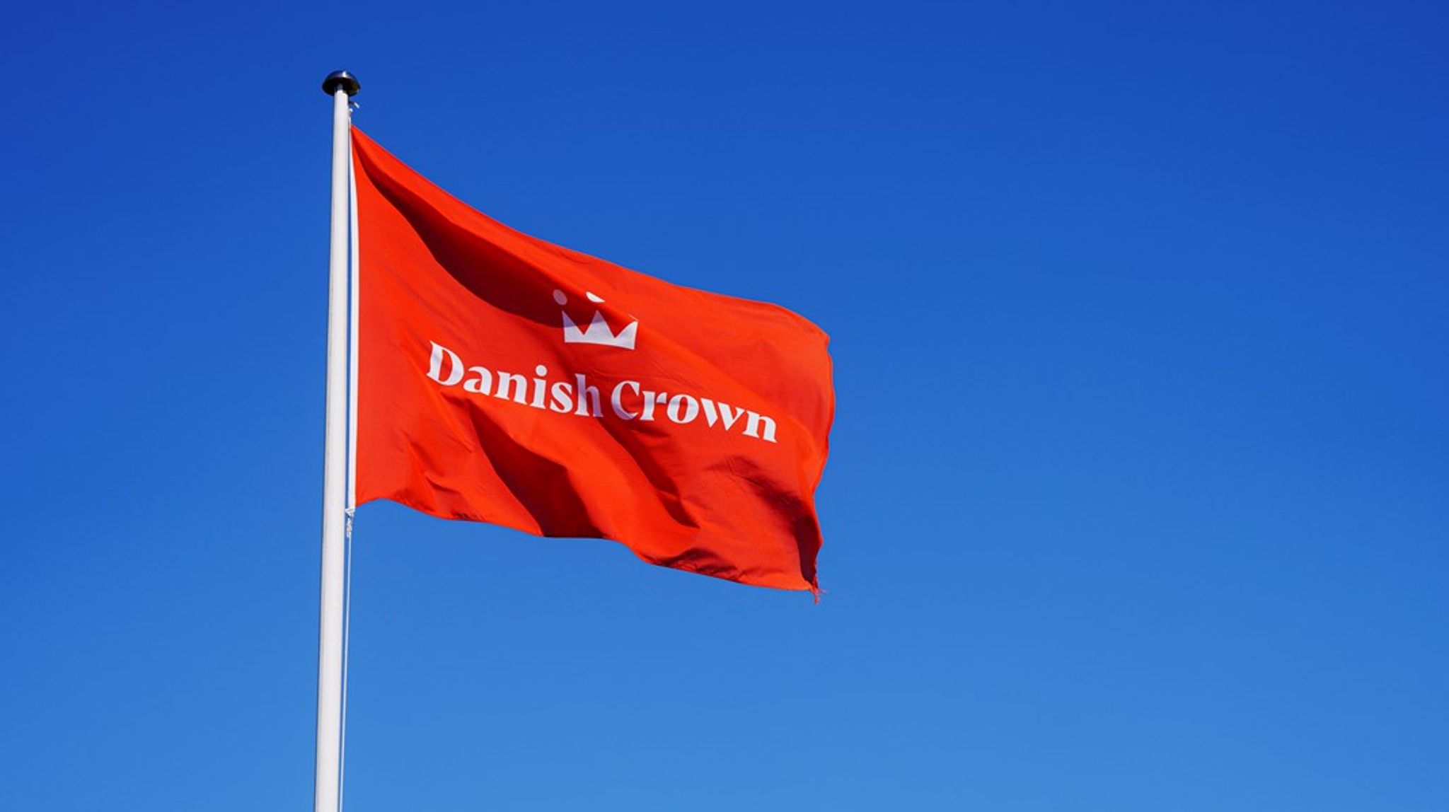 Jens Peter Clausen stopper i Danish Crown Industry.